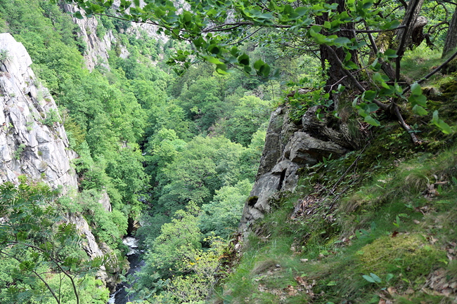 Bodetal